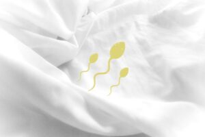 Does Semen Stain?