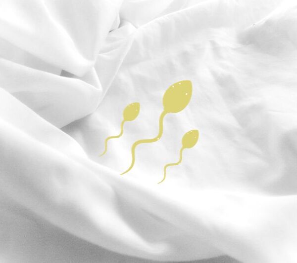 Semen on sheets