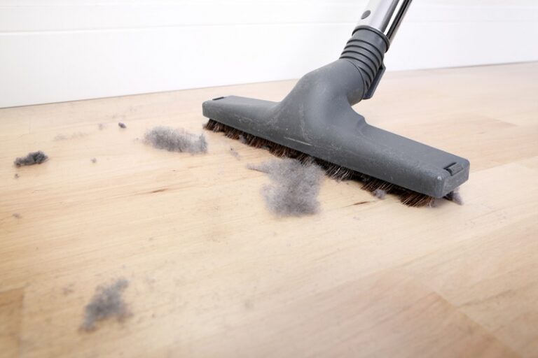 What Is a Dust Bunny?