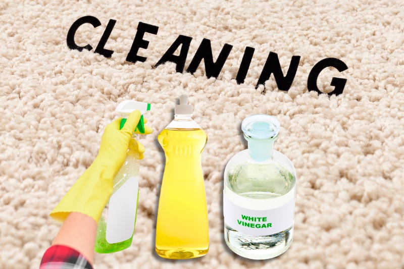 clean carpet with stain remover, washing up liquid and vinegar
