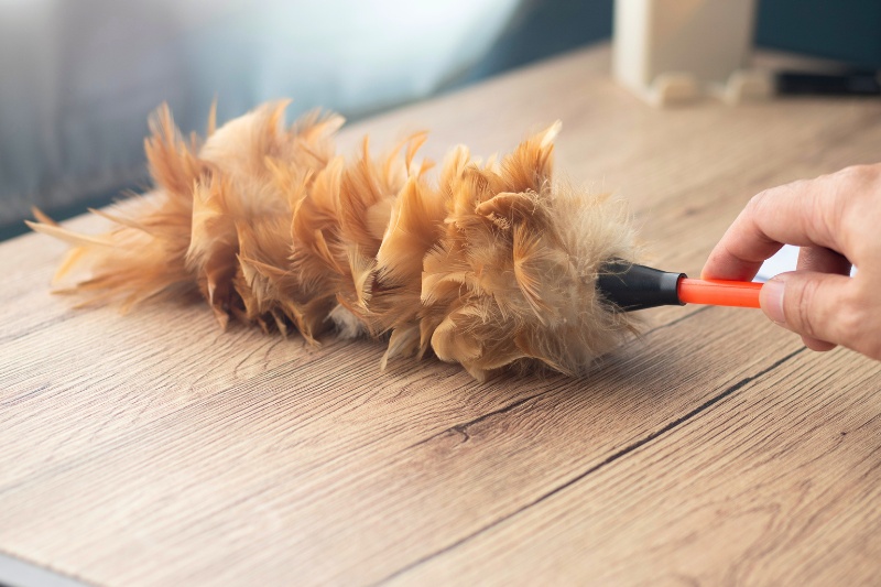 feather duster on wooden table