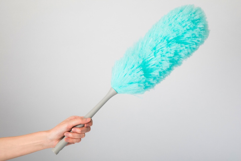 hand holding feather duster