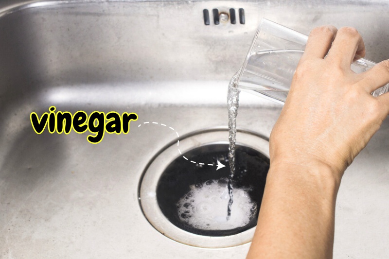 vinegar for kitchen sink drain