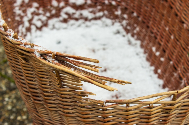 damaged wicker basket