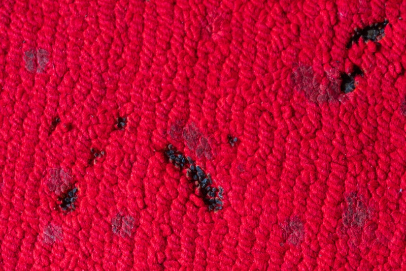Scorch Marks on Carpet