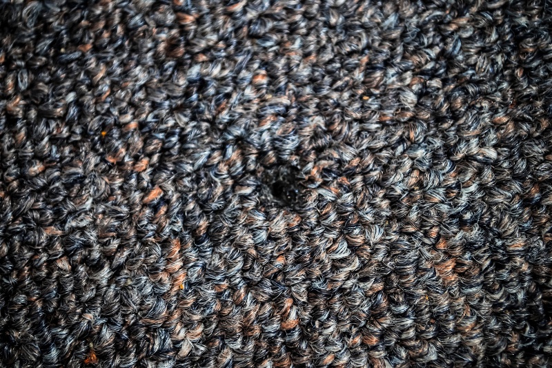 carpet with burn mark