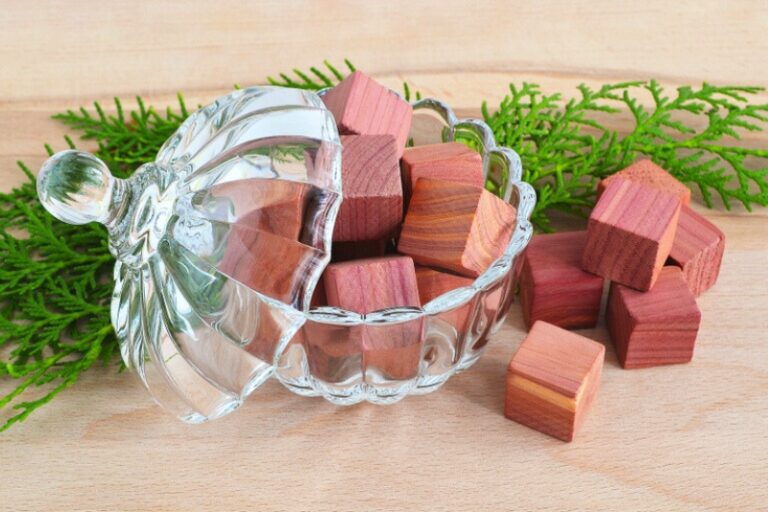 How to Stop Clothes Smelling Musty in Drawers