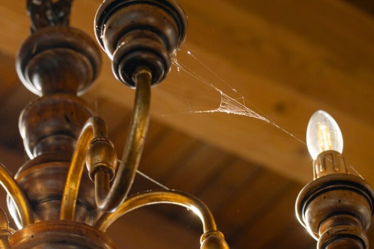 How to Get Rid of Cobwebs