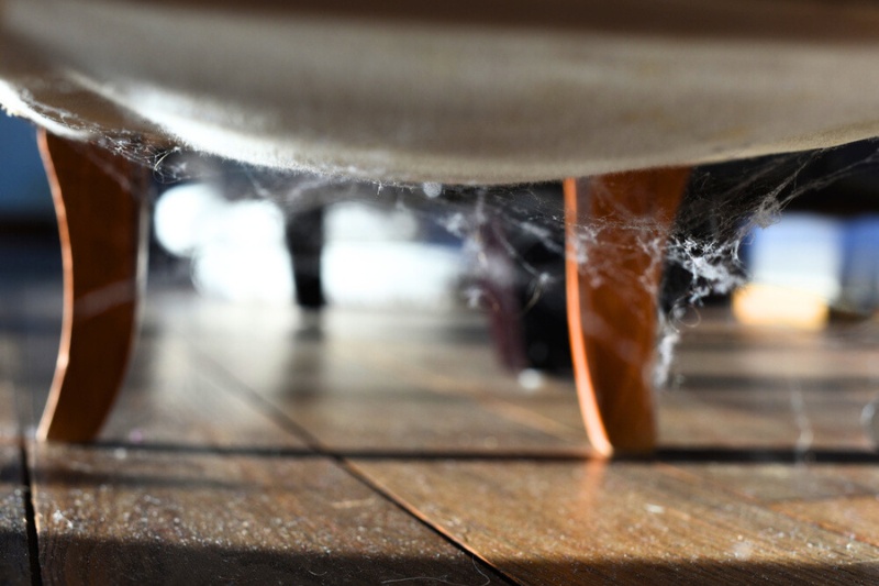 cobwebs under a chair