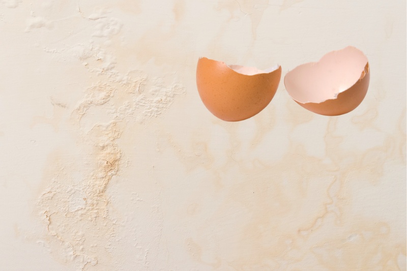 dirty wall and egg shell