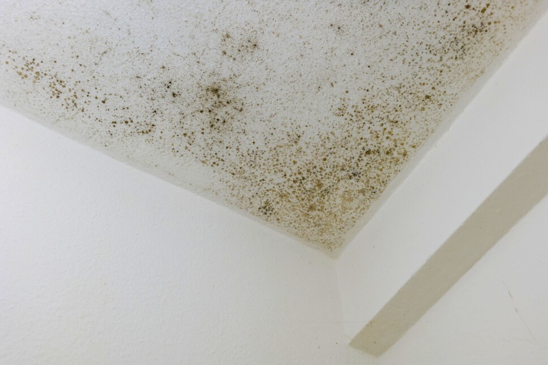mouldy ceiling