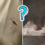 soot on clothes