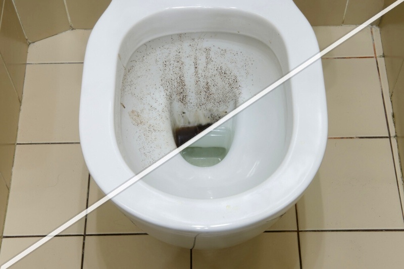 toilet bowl with black mould