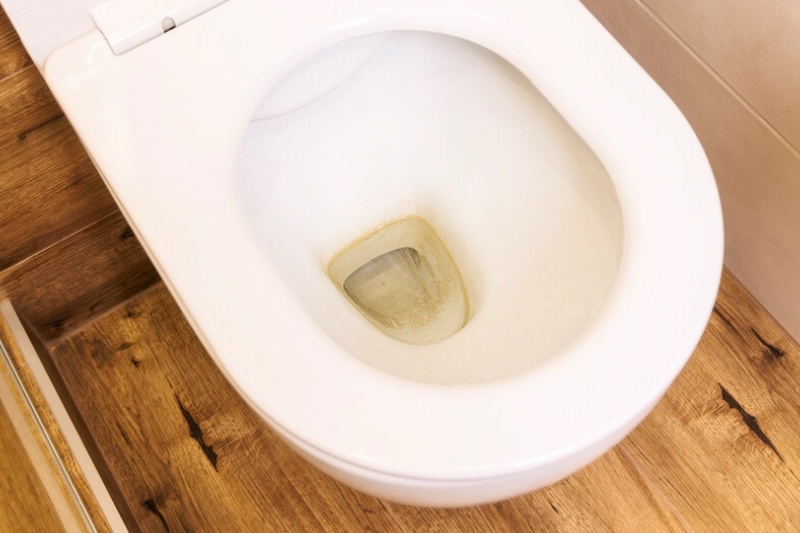 toilet ring on bowl