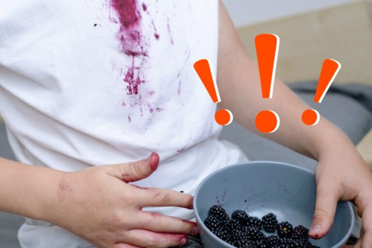 how-to-get-blackberry-stains-out-of-clothes-carpets-and-couches