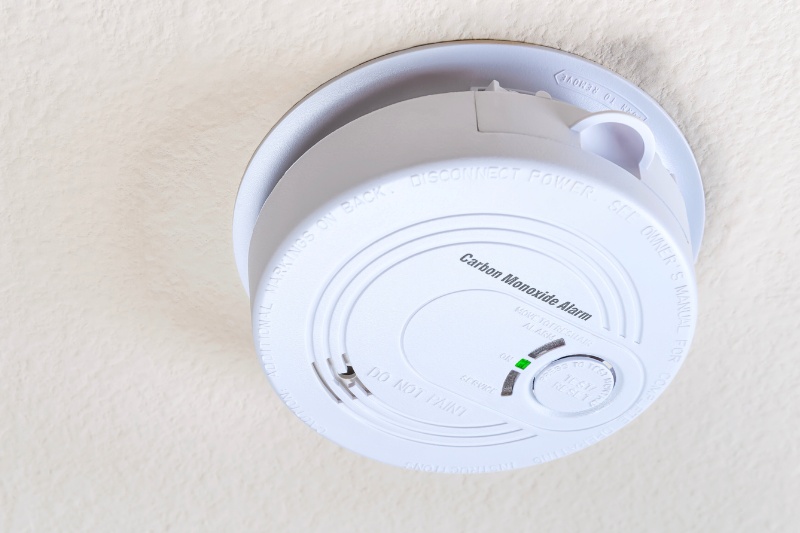 carbon monoxide detector or alarm