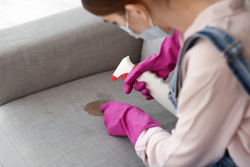 woman cleaning sofa stain