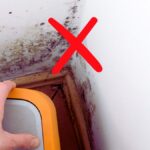 Mould in corner of room