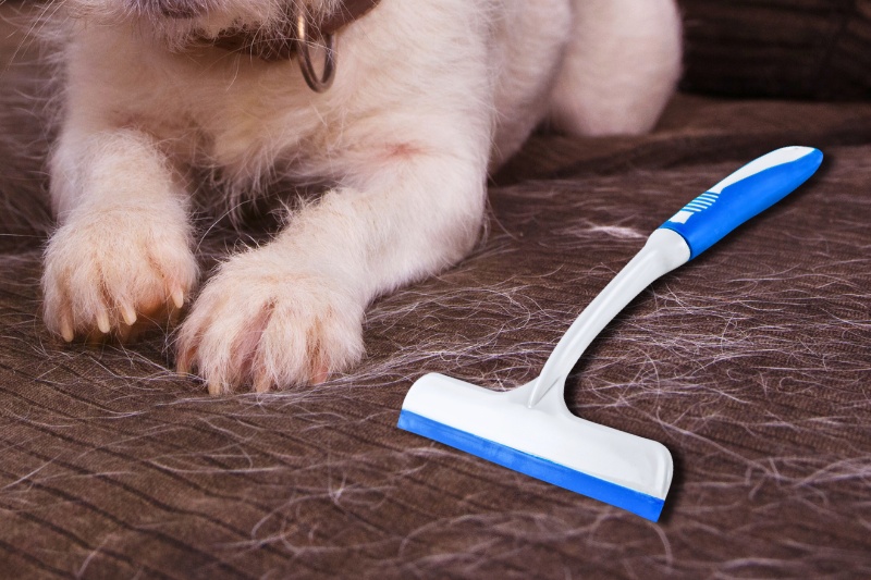 Squeegee for Pet Hair