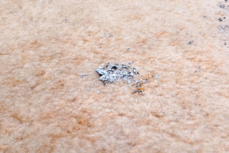 ash on carpet