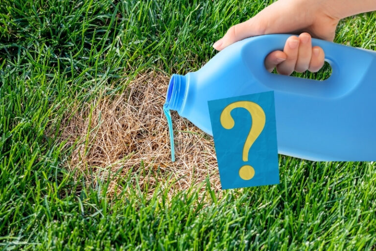 Will Laundry Detergent Kill Grass?