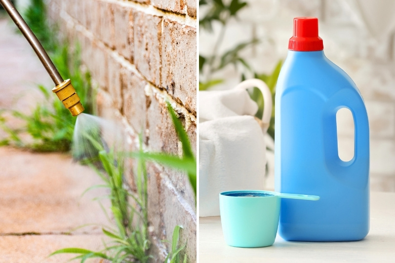 killing weeds with laundry detergent