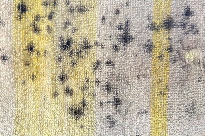 mildew on towel