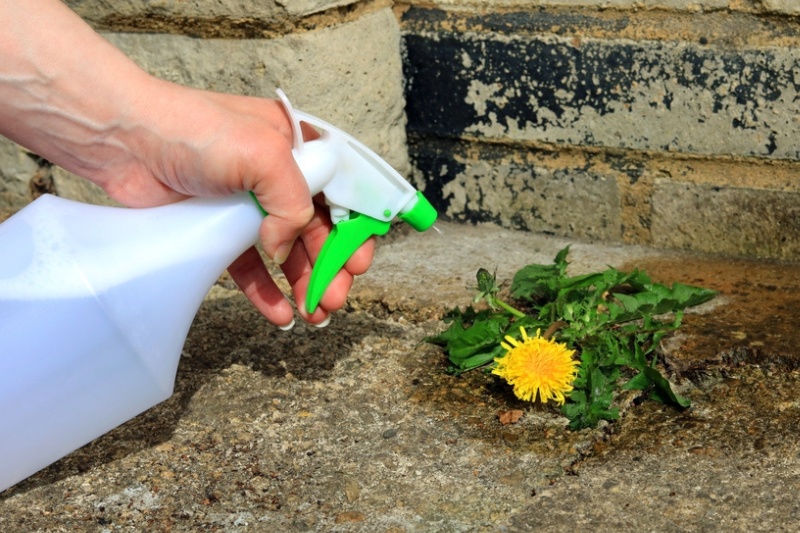 spray bottle with weed killer