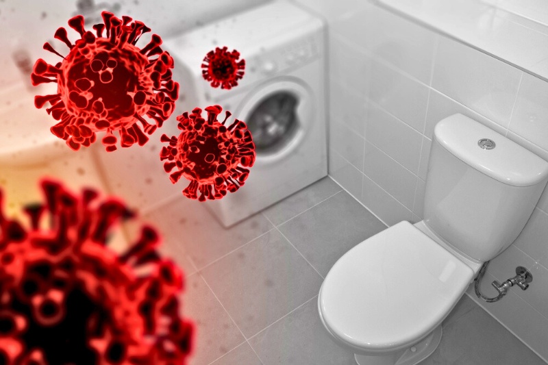 toilet bacteria