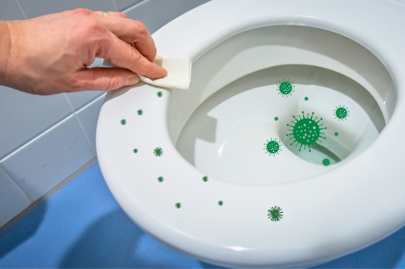 toilet bowl full of bacteria