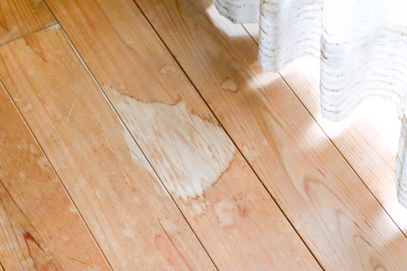 wood floor stains