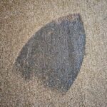 Iron burn on carpet