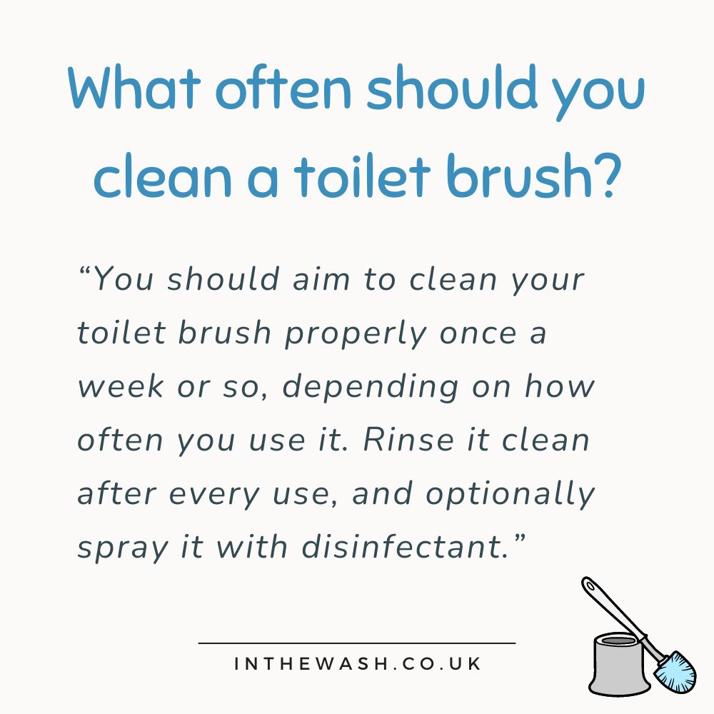 How often should you clean a toilet brush?