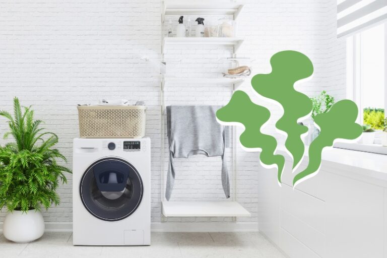 Sewer Smell In Laundry Room