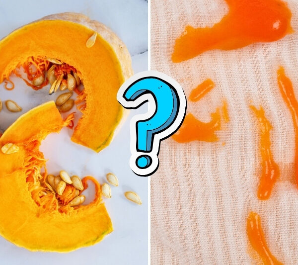 pumpkin stain on clothes