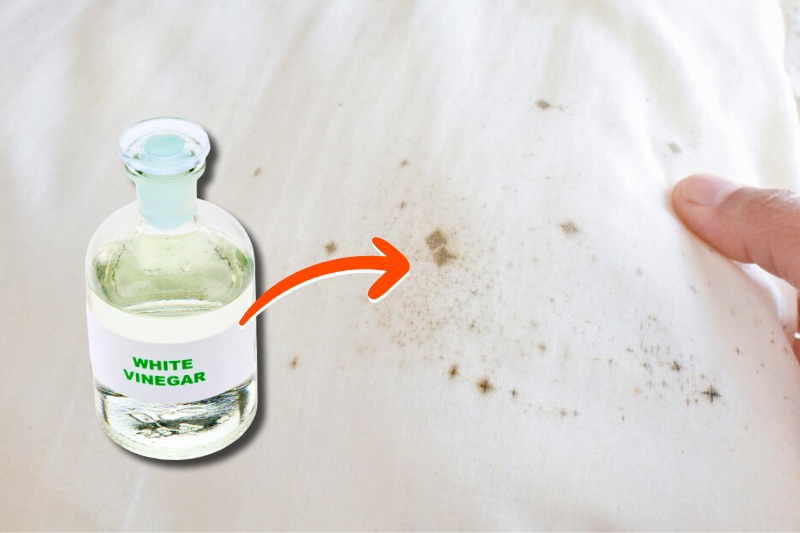 white vinegar for mouldy clothes
