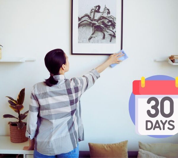 30 day cleaning challenge